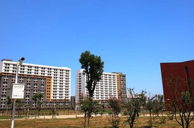 網(wǎng)絡(luò)工程專(zhuān)升本 探索計(jì)算機(jī)軟件與網(wǎng)絡(luò)應(yīng)用技術(shù)的融合開(kāi)發(fā)